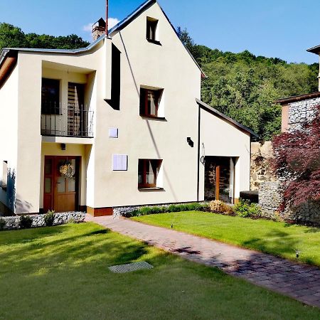 Prazdninovy Dum Valdik Villa Loket Bagian luar foto